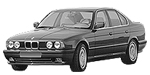 BMW E34 P3118 Fault Code